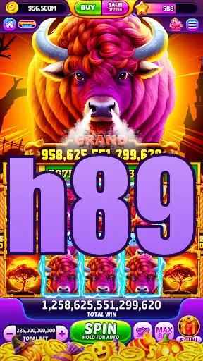 h89 APK
